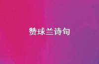 赞球兰诗句【100句精选短句合集】