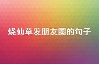 烧仙草发朋友圈的句子【100句精选短句合集】