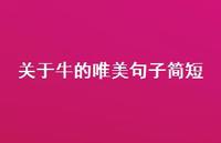 关于牛的唯美句子简短(精选53句) 关于牛的唯美句子简短(精选53句)