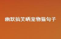 幽默搞笑晒宠物猫句子51句汇总