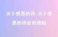 关于感恩的诗歌朗诵稿【100句文案精选】