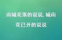城南花已开的说说【100句文案】 城南花已开的说说【100句文案】