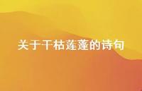 关于干枯莲蓬的诗句(精选41句) 关于干枯莲蓬的诗句(精选41句)