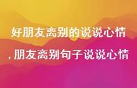 朋友离别句子说说心情(100句)