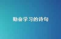 勤奋学习的诗句62句汇总