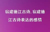 宿建德江古诗表达的感情【100句文案精选】