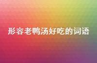 形容老鸭汤好吃的词语【100句精选短句合集】