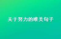 关于努力的唯美句子44句汇总