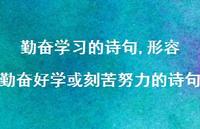 形容勤奋好学或刻苦努力的诗句【100句文案精选】 形容勤奋好学或刻苦努力的诗句【100句文案精选】