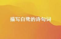描写白鹭的诗句词(精选69句) 描写白鹭的诗句词(精选69句)