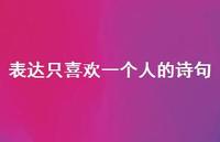 表达只喜欢一个人的诗句(精选46句) 表达只喜欢一个人的诗句(精选46句)
