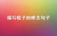描写梳子的唯美句子(精选52句) 描写梳子的唯美句子(精选52句)