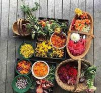 植物染：大自然给我们的东西，总有无尽惊和喜