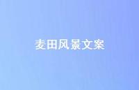 麦田风景文案【100句精选短句合集】 麦田风景文案【100句精选短句合集】