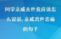 亲戚离世悲痛的句子(100句)