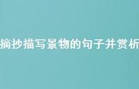 摘抄描写景物的句子并赏析71句汇总