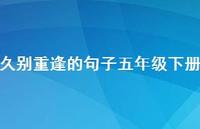 久别重逢的句子五年级下册【100句精选短句合集】