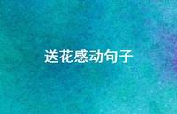 送花感动句子54句汇总