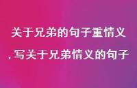 写关于兄弟情义的句子【100句文案】