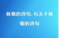有关于秋菊的诗句【100句文案精选】 有关于秋菊的诗句【100句文案精选】