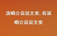 看演唱会说说文案(100句)