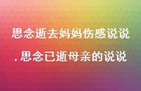 思念已逝母亲的说说(100句) 思念已逝母亲的说说(100句)