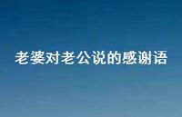 老婆对老公说的感谢语63句汇总