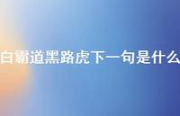 白霸道黑路虎下一句是什么45句汇总 白霸道黑路虎下一句是什么45句汇总