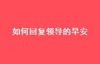 如何回复领导的早安【100句精选短句合集】 如何回复领导的早安【100句精选短句合集】