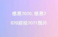 感恩2020迎接2021图片【精品文案100句】