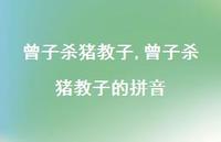 曾子杀猪教子的拼音【精品文案100句】
