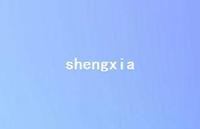 shengxia64句汇总