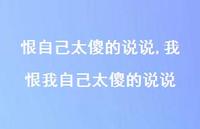 我恨我自己太傻的说说【精选100句】