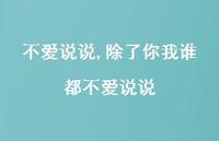除了你我谁都不爱说说【100句文案】