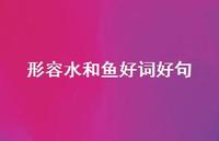 形容水和鱼好词好句(精选45句) 形容水和鱼好词好句(精选45句)