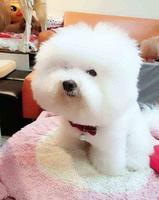 1be4ab2d-7f8b-4806-ac86-99618347112d_2.jpg-s 蔡依林病后首张自拍照,并透露病情好转,等待痊愈后去打网球