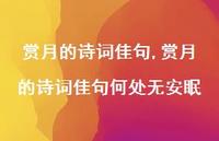 赏月的诗词佳句何处无安眠【100句文案精选】