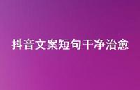 抖音文案短句干净治好65句汇总