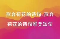 形容荷花的诗句唯美短句【精品文案100句】