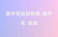 彼岸花 说说(100句) 彼岸花 说说(100句)