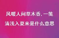 风暖人间草木香,一笺清浅入夏来是什么意思【100句精选短句合集】 风暖人间草木香,一笺清浅入夏来是什么意思【100句精选短句合集】