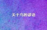 关于鸟的谚语63句汇总 关于鸟的谚语63句汇总
