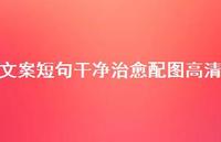 文案短句干净治好配图高清41句汇总