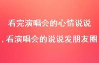 看演唱会的说说发朋友圈(100句)