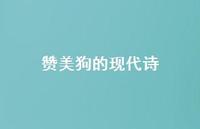 赞美狗的现代诗(精选70句) 赞美狗的现代诗(精选70句)