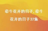 牵牛花开的日子32集【100句文案精选】