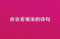 形容雾很浓的诗句(精选53句)