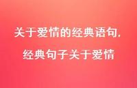 经典句子关于爱情【精品文案100句】