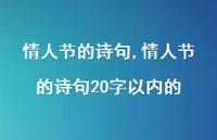 情人节的诗句20字以内的【100句文案精选】
