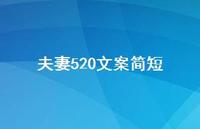 夫妻520文案简短【100句精选短句合集】 夫妻520文案简短【100句精选短句合集】